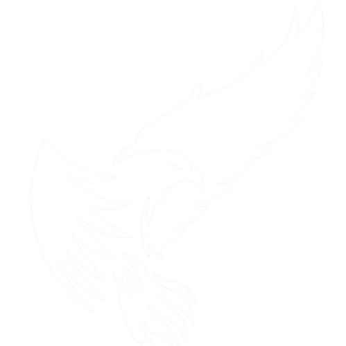 Elevare illustration